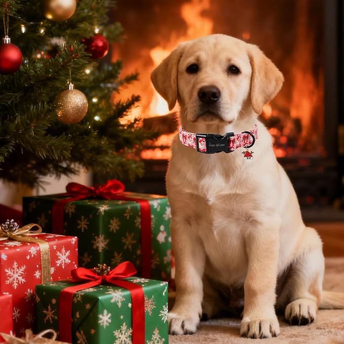 Unique Style Paws Christmas Dog Collar, Pink Dog Collar with Santa Claus Pattern, Lightweight & Adjustable Pet Collar with Plastic Buckle for Small, Medium, Large Boy Girl Dogs