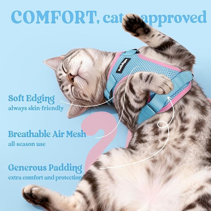 rabbitgoo Cat Harness and Leash for Walking, Escape Proof Soft Adjustable Vest Harnesses for Cats, Easy Control Breathable Reflective Strips Jacket, Light Blue&Pink, XXS