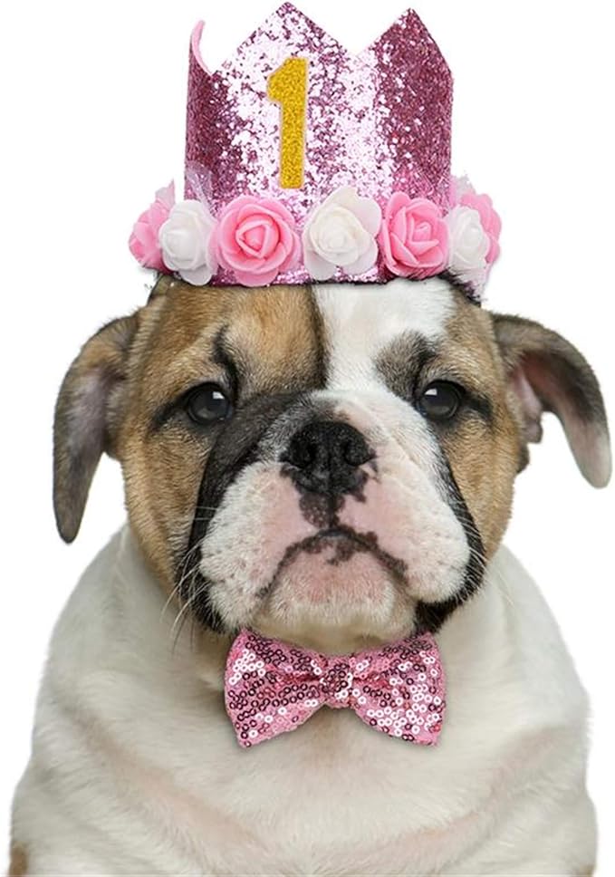 Pet Birthday Hat, Dog Birthday Crown Hat and Bowtie with 0-9 Figures Charms Party Accessories for Small Medium Dogs Cats (PINK)