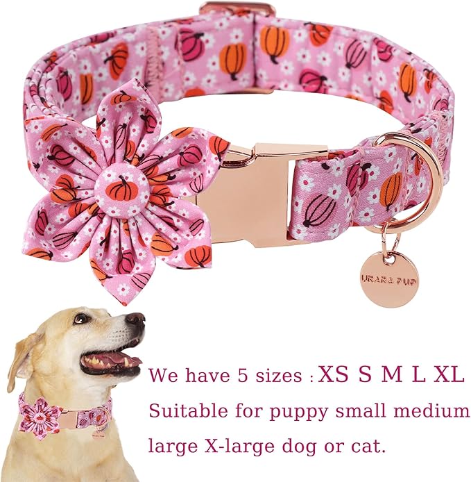 Halloween Pumpkin Dog Collar with Flower, Pink Halloween Puppy Flower Collar with Adjustable Metal Buckle,Fancy Halloween Dog Collar Bowtie Gift for Girl Boy Dog,L