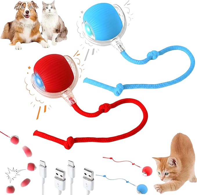 2026 New 2Pack Cat Ball Kitten Toys for Indoor Interactive Kitty Ball Toy Speedy Tail 360° Automatic Rolling Electric Moving Rechargeable,Smart Pet Chase with Rope for Bored Cats (RED & Blue) 2 Pcs