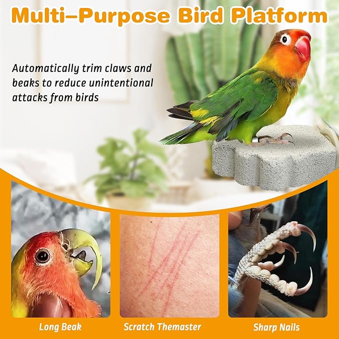 PINVNBY 8 PCS Bird Perches Calcium Parrot Perch Stand Bird Beak Grinding Stone Foot Claws Trimmer Parrot Chewing Toys Bird Cage Accessories for Budgie Cockatiel Conure Lovebird Finch