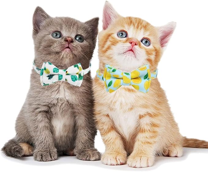 2-Pack Breakaway Cat Collars with Removable Double-Layer Bow Tie and Bell for Boy and Girl Cats,Safety Kitten Collars Suitable for Festivals and Daily. (Lemon&Pineapple)