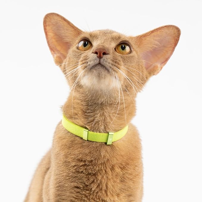 Safety Cat Collar - U.S. IDA Gold Awarding Design, Elastic Quick Release, Non Breakaway - Lightweight for Kitten, Neck Fit 7.8'-15.7' for All Small Large Cat,M(Monet Purple)
