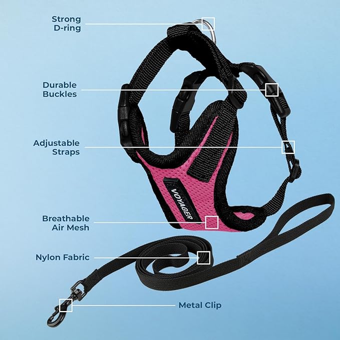 Voyager Escape-Proof Step-in Lock Cat Harness & 5ft Neoprene-Handle Leash Set All-Weather Mesh with Reflective Stitching for Small to Large Cats by Best Pet Supplies, Fuchsia/Black Trim, XXXS