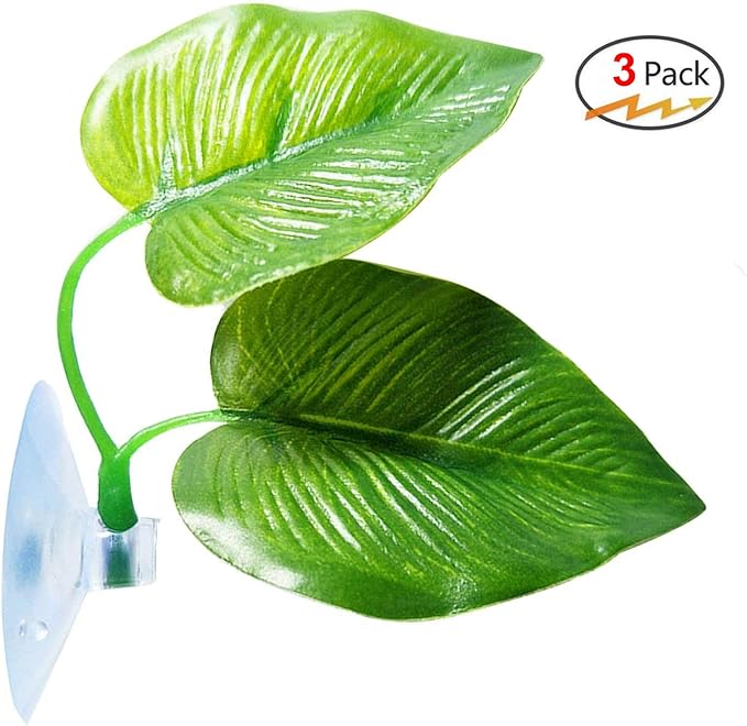 CousDUoBe 3 Pack Betta Fish Leaf Pad Improves Betta's Health by Simulating The Natural Habitat - Natural, Organic, Comfortable Rest Area for Fish Aquarium Ornaments