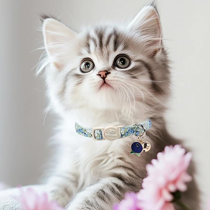 2 Pack Spring Summer Cat Collars - Cute Breakaway Cat Collar with Bell, Bluberry and Strawberry Pendant, Adjustable Kitten Collars for Girl Cats, Pastel Floral Fruit