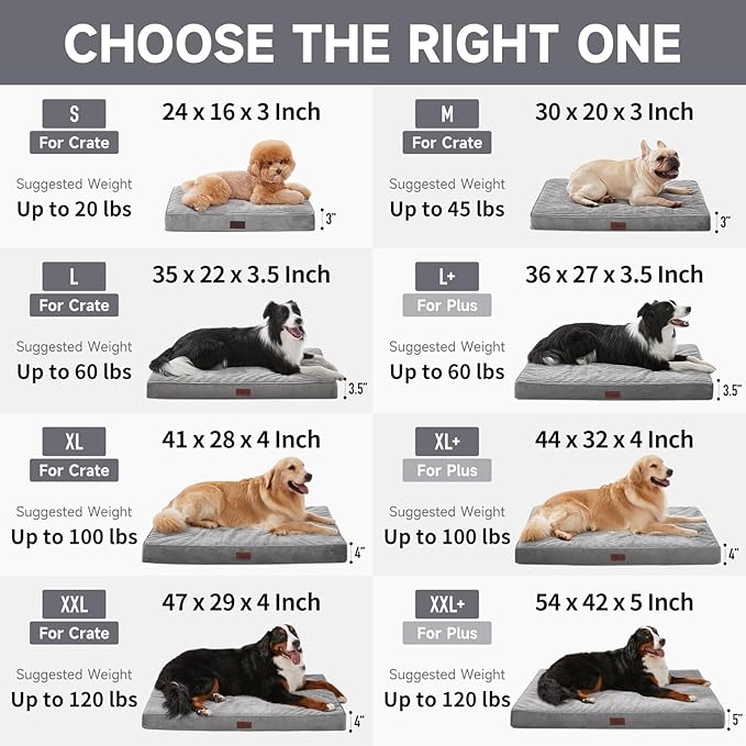 OhGeni Orthopedic Waterproof Top Surface & Machine Washable Dog Bed for Small Medium Pets, Suitable for Crates, Cat Mat with 25D Egg Crate Foam, Removable Cover, 30 Inches(Brown)