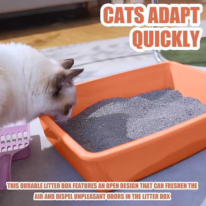 Small Litter Box, Plastic Kitten Litter Box, 13.9 x 9.8 x 3 Inch Open Litter Box for Small Pet, Easy to Clean (Orange 4PCS)