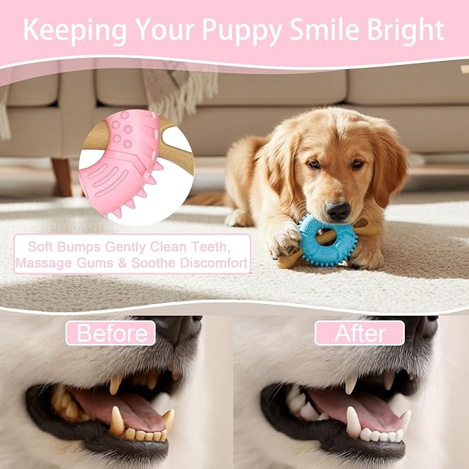 Dog Chew Toys, Indestructible Dog Toys for Aggressive Chewers - Small & Medium Breed, Durable Rubber Chew Bone Toy for Small Dogs, Tough Tire Dog Toy, Puppy toys for Teething, Anxiety & to Keep Busy