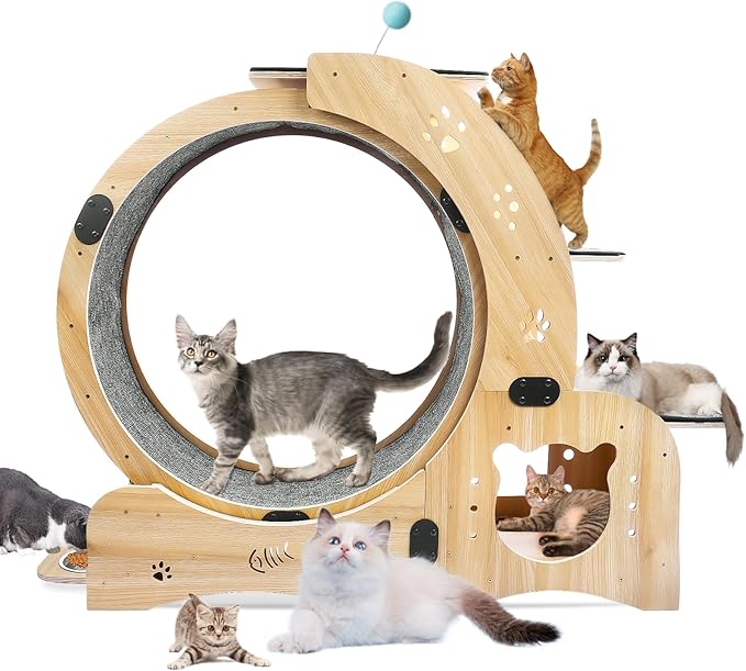 Cat Running Wheel,Cat Treadmill for Indoor Cats,Exercise Wheel Wood Climbing Frame,55''Oversized Roller Indoor Activity Center,Large (6-in-1)