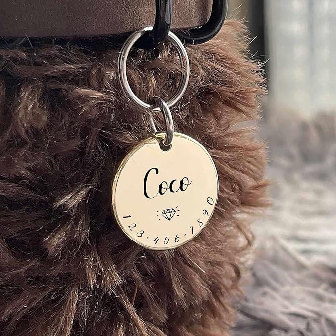 Cats Dogs ID Tags Personalized Lovely Symbols Pets Collar Name Accessories Simple Custom Engraved Supplies for Small Four Legged Child Necklace Chain Anti-Lost Shiny Stainless Steel 316L Charm