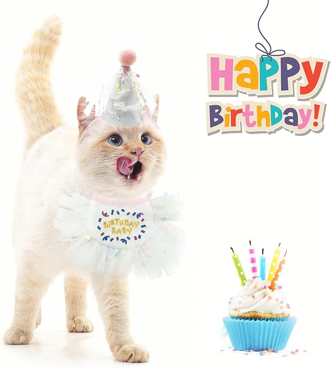 2 PCS Cat Doggy Party Hat & Bib Set - Pink Mesh Bib, Cat & Dog Birthday Outfit, Cat Party Decorations