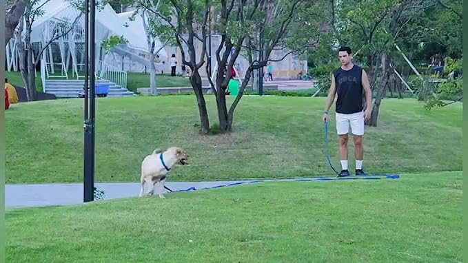 AMAGOOD Long Dog Leash for Training 15FT 20FT 30FT 50FT 100FT Long Dog Lead for Medium and Small Dogs Training,Tie Out,Play,Camping(15feet, Blue)
