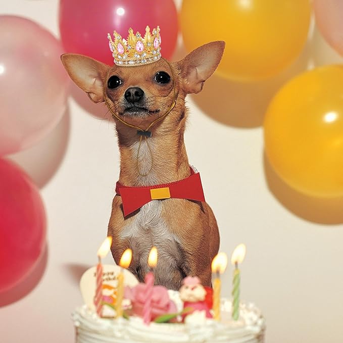 Abbylike Pet Rhinestone King Crown, Queen Crown for Birthday New Year Costume for Small Dog Cat Cosplay Party Accessories Adoption Celebration Wedding Birthday Photos Prop Costume(Pink,Small)