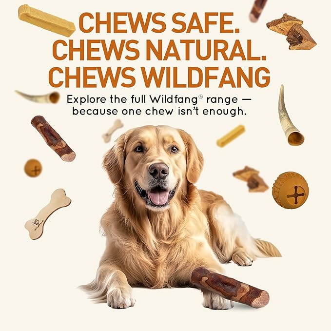 Wildfang® Olive Wood Chewing Sticks for Dogs, Small - Tough Chew Toys for Aggressive Chewers, Puppy Chew Toys for Teething, Training for Chewing Muscles, Olive Wood Stick for Dog (Under 33lbs), 3pack