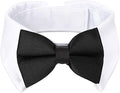 Segarty Black Bow Tie Dog Collar for Neck Girths 10.2-12.6 in, Tux Bowtie with Handcrafted Adjustable White Collar Formal Pet Cats Puppies Necktie for Wedding Birthday Party