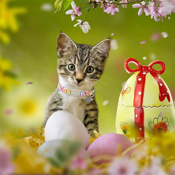 Lionet Paws 2pcs Pack Easter Cotton Cat Collar,Breakaway Buckle with Rabbit and Colorful Eggs Cute Adjustable Green Cat Kitten Collar,Ideal for Girl Cats Boy Cats