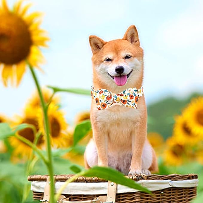 Lionheart glory Dog Collar Bow Collar Floral Dog Collar with Bow Tie Spring Summer Cute Collar Dog Boy or Girl Dog Collars Soft Durable Adjustable Dog Collars for Small Dogs