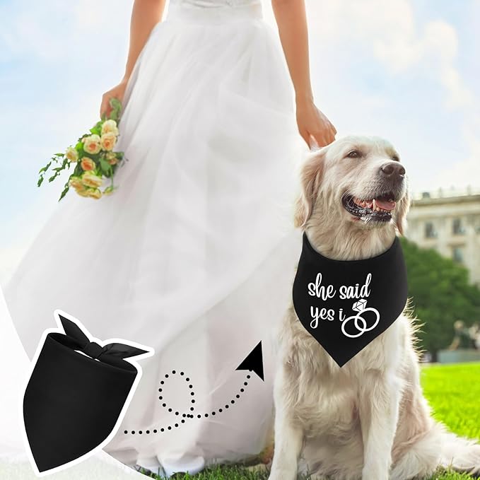 Abbylike 20 Pcs Sublimation Blank Dog Bandanas Plain Bandanas for Dogs Heat Transfer Triangle Bibs DIY for Puppy Cat Pets Birthday Costume Accessories Party Decoration (Black,Small)