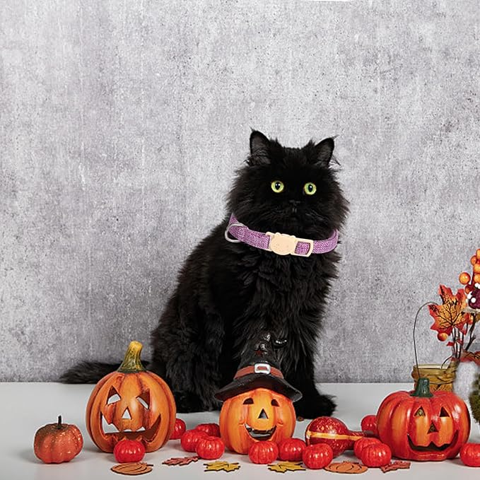 Halloween Cat Collar-2 Pack Cat Collar Orange and Purple Linnet with Kitten and Bell Pendant Safety Buckle Adjustable Pet Collar Suitable for Cats Gift to Cats and Small Pets