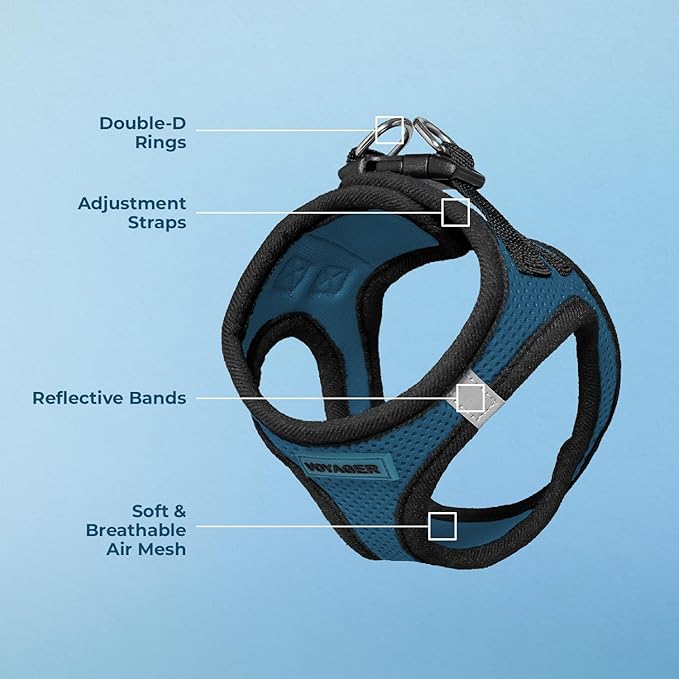 Best Pet Supplies Voyager Step-in Air Harness - All Weather Mesh, Reflective, No Pull Harness for Dogs, Cats - Secure with Hook & Loop Fastener, Buckle, Double D-Rings - Blue/Black Trim, XXS