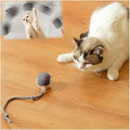 Interactive Cat Toys for Indoor Cats, Agility Move Cat Balls,Motion Activated Cat Balls, Cat Toys for Bored Indoor Cats(Grey)