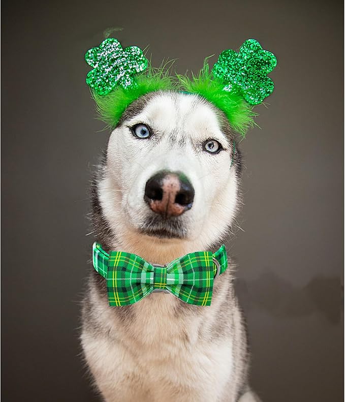 Lionheart glory Dog Bow Collar St. Patrick's Day Dog Collar for Medium Dogs, Adjustable Green Plaid Collars Spring Dog Collar with Bowtie Pet Collar Bows Cute Collars