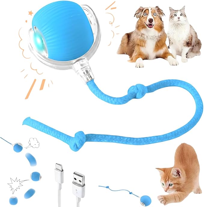 Interactive Electric Automatic Rolling Moving Rechargeable Self Play Stimulation Toy,Smart Pet Chase with Speedy Tail Rope for Bored Indoor Cats (Blue)