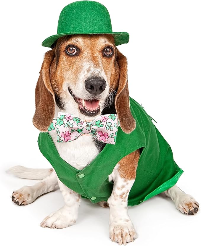 Lionheart glory Dog Bow Collar St. Patrick's Day Dog Collar for Small Dogs, Adjustable Green Collars Lucky Clover Shamrock Dog Collar with Bowtie Pet Collar Bows
