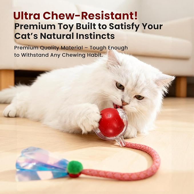 Rocfish Interactive Cat Toy for Indoor Cat, Smart Automatic Cat Chase Ball Toy (Red-N)