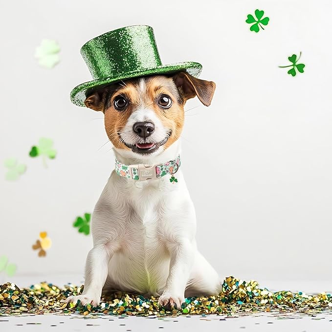St Patricks Day Dog Collar for Small Dogs - Cute Pastel Lucky Clover Dog Collars, Lightweight Adjustable Irish Green Festival Dogs Collars with Quick Release Buckle S