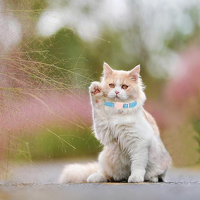 Cat Collar-2 Pack Cat Collar Blue and Pink Linnet with Kitten and Bell Pendant Safety Buckle Adjustable Pet Collar Suitable for Cats Gift to Cats and Small Pets