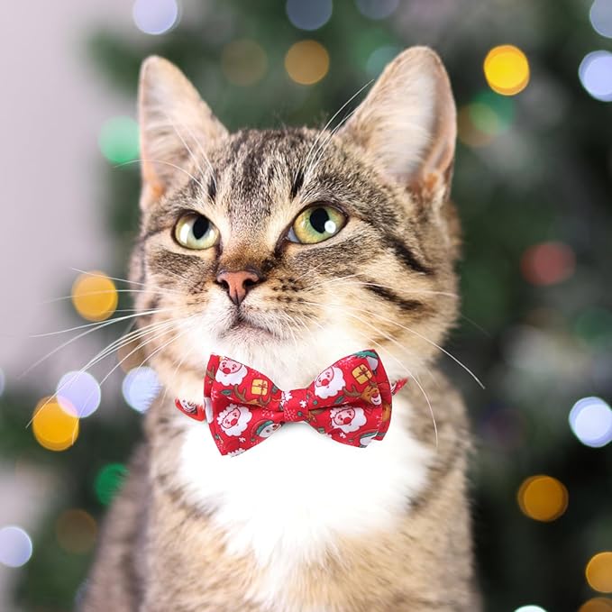 Breakaway Cat Collars with Bell & Cute Pendants - 3 Pack Adjustable Safety Kitten Collars - Decoration for Girl Boy Cats Puppy and Small Pets (Style C - Christmas)