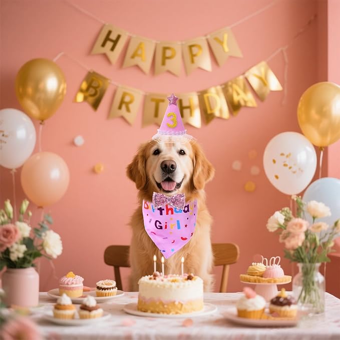 hoyuwak Dog Birthday Party Supplies Girl Boy Dog Birthday Bandana Bow Hat with Numbers for Small Medium Large Pets