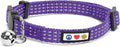 Pawtitas Reflective Purple Cat Collar with Safety Buckle and Removable Bell for Kitten and Cats