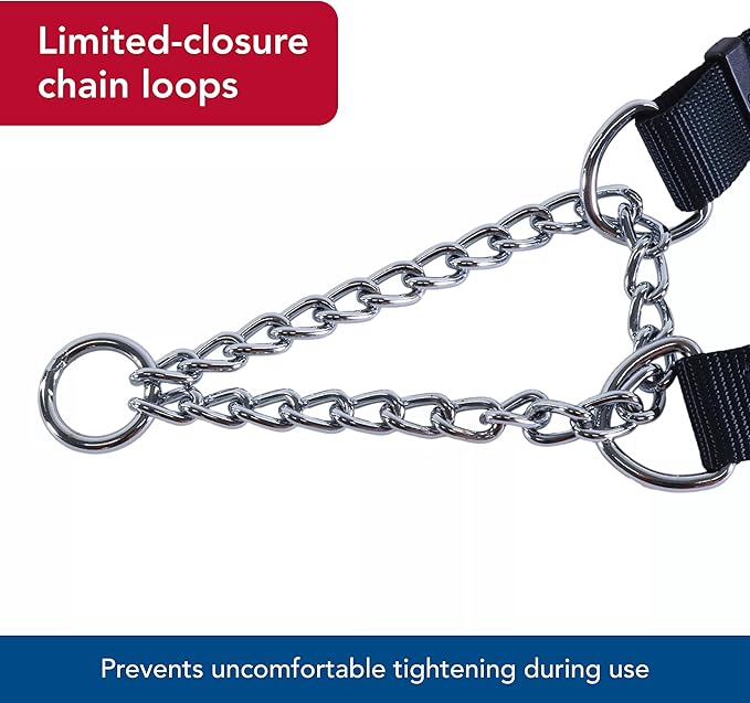 Coastal Pet - Check-Choke - Adjustable Check Training Collar for Dogs, Red, 3/4" x 14"-20"