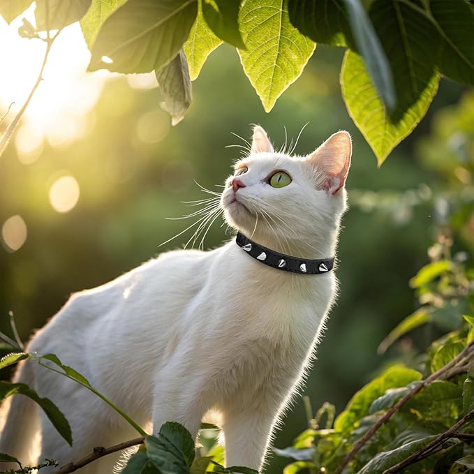 EXPAWLORER Leather Cat Collar for Girl Boy- Adjustable Pet Collar with Safety Elastic Belt,Personalized Punk Accessories Buckle Collars with Bell & Durable D-Ring,Pure Rivets(Black)