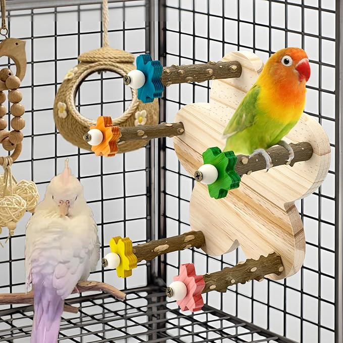 Parakeet Toys, Natural Wood Perch with 5 Branches, Unique Durable Avian Cage Accessories for Parakeets, Cockatiels, Budgerigars, Conures, Lovebirds