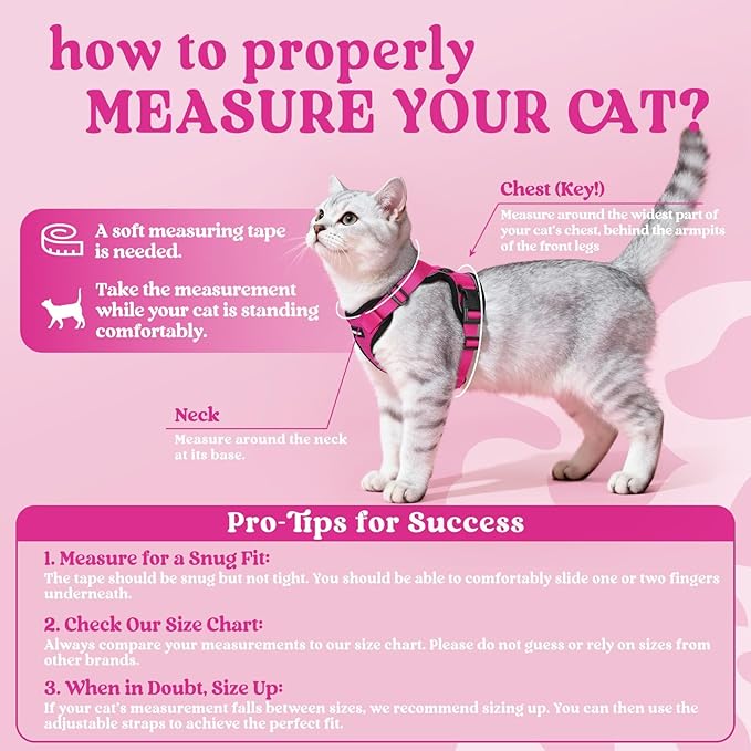rabbitgoo Cat Harness and Leash for Walking, Escape Proof Soft Adjustable Vest Harnesses for Cats, Easy Control Breathable Reflective Strips Jacket, Rose Red, XXS
