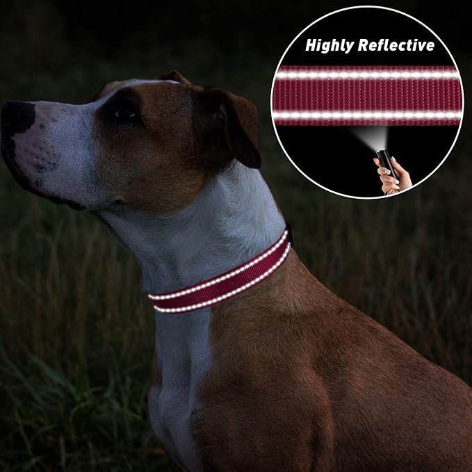 TagME Reflective Nylon Dog Collars, Adjustable Classic Pet Collar with Quick Release Buckle for Large Dogs, Hot Pink, 1.0" Width