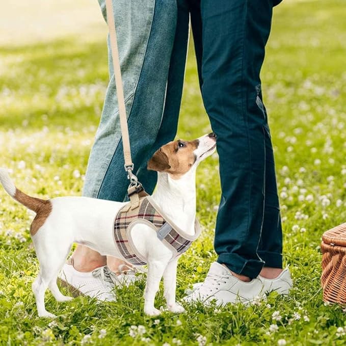 PUPTECK Adjustable Dog Harness Collar and Leash Set Step in No Pull Pet Harness for Small Medium Dogs Puppy and Cats Outdoor Walking Running, Soft Mesh Padded Reflective Vest Harnesses, Beige XXL