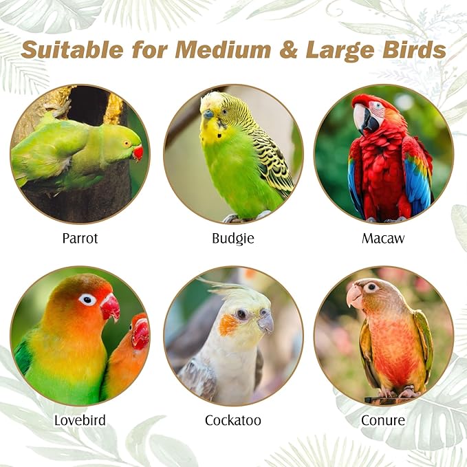 PINVNBY Natural Parrot Perch Grape Wood Bird Stand Pole Parakeet Paw Grinding Fork Chewable Climbing Branches Toy Bird Cage Accessories for Budgies Conures Cockatiels Lovebirds (2 PCS, 5.9IN)
