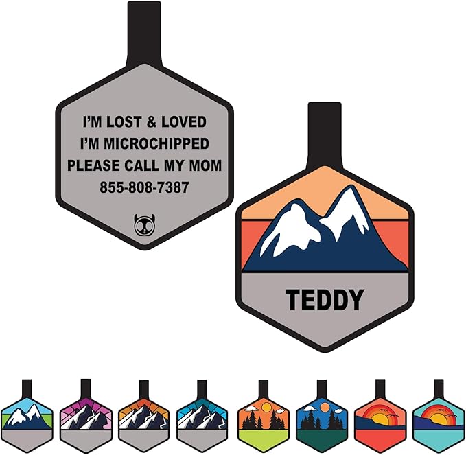 Silent Dog Tag Personalized with 5 Lines of Custom Deep Engraved Durable Soundless Silicone Pet ID Name Tag Hexagon Snow Mountain Girl