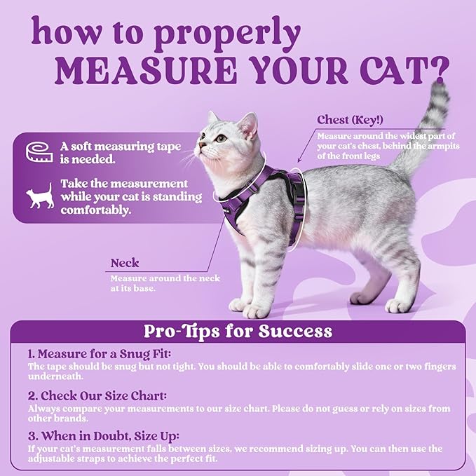 rabbitgoo Cat Harness and Leash for Walking, Escape Proof Soft Adjustable Vest Harnesses for Cats, Easy Control Breathable Reflective Strips Jacket, Purple, XXS