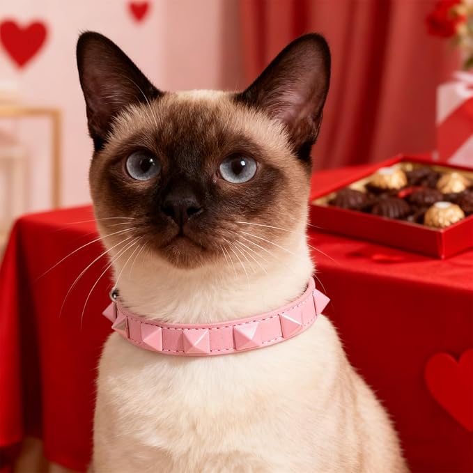 EXPAWLORER Halloween Leather Cat Collar - Adjustable Pet Collar with Rivet Spike for Girl Boy Cats, Punk Accessories with Bell & Durable D-Ring,Pink Square Nails