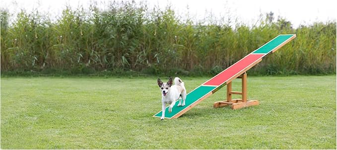 TRIXIE Dog Agility Seesaw, Canine Agility Training, Competition Seesaw, Teeter Set