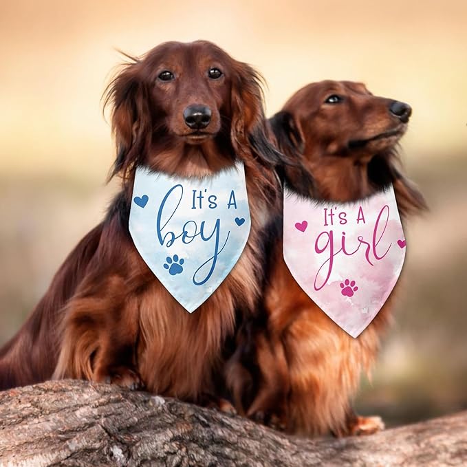 2 Packs It's a Boy and It's a Girl Gender Reveal Dog Bandana Baby Announcement Pet Triangle Scarf Accessories Pink and Blue Dog Bandana for Small Medium Large Dogs Cats