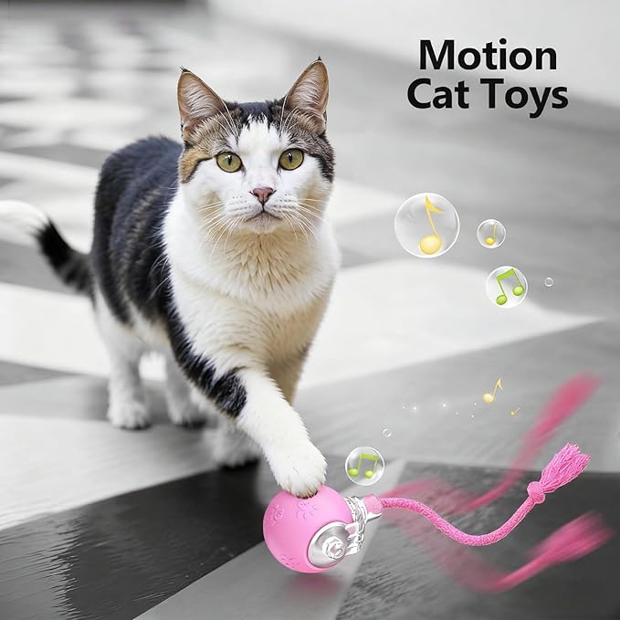 FUNNYDUCK Speed 2.0 Tail Interactive Cat Toy – Motion-Activated Rolling Ball with Chirping Sounds, USB Rechargeable Smart Ball Toy for Indoor Cats & Kittens, Enrichment & Exercise