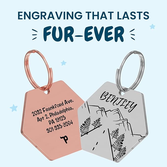 PawFurEver Dog Tag Personalized Pet Name | Customized Dog Tags Engraved Front & Back - Stainless Steel, Dark Etching Pet ID Tag Dog Tags Made in USA (Hexagon, Silver)